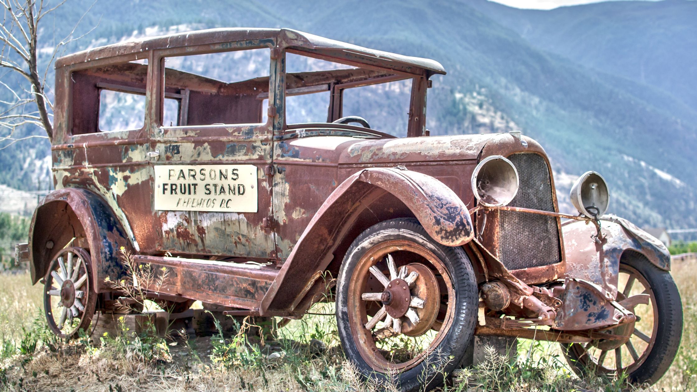 Rare Gems: Exploring Antique Cars’ Timeless Allure!